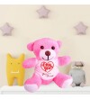 Kişiye Özel Baskılı Peluş Pembe Ayı Love You HK2348