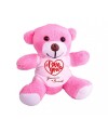 Kişiye Özel Baskılı Peluş Pembe Ayı Love You HK2348