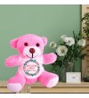 Kişiye Özel Yeniyıl Baskılı Peluş Pembe Ayı Love You HK2420